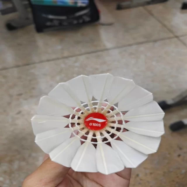 德约科维奇复出网坛引热议